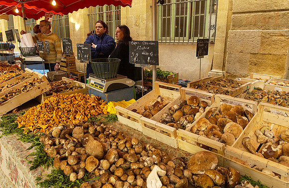 Provence
